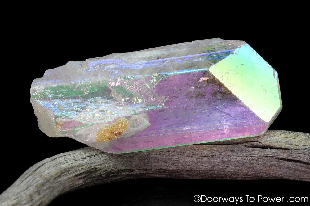 Angel Aura Danburite Drusy Crystal w/ Record Keeper Amazing A    