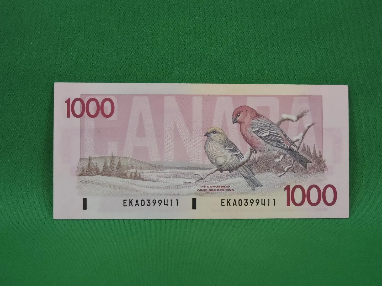 Canadian Bank Notes - ENZ - 1988 - $1000 - EKA0399411