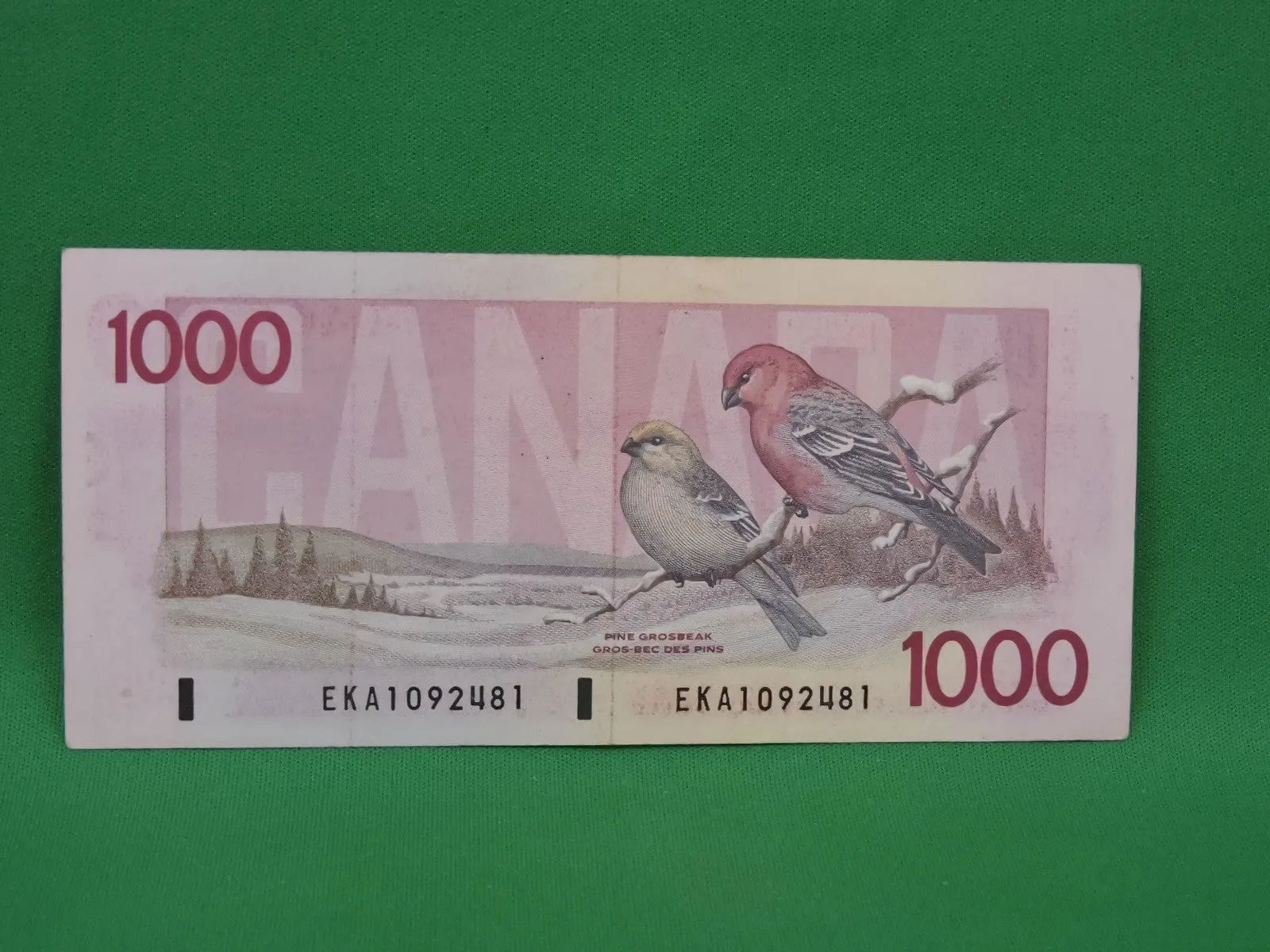 Canadian Bank Notes - ENZ - 1988 - $1000 - EKA1092481