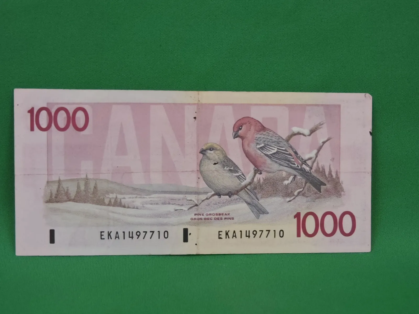 Canadian Bank Notes - ENZ - 1988 - $1000 - EKA1497710