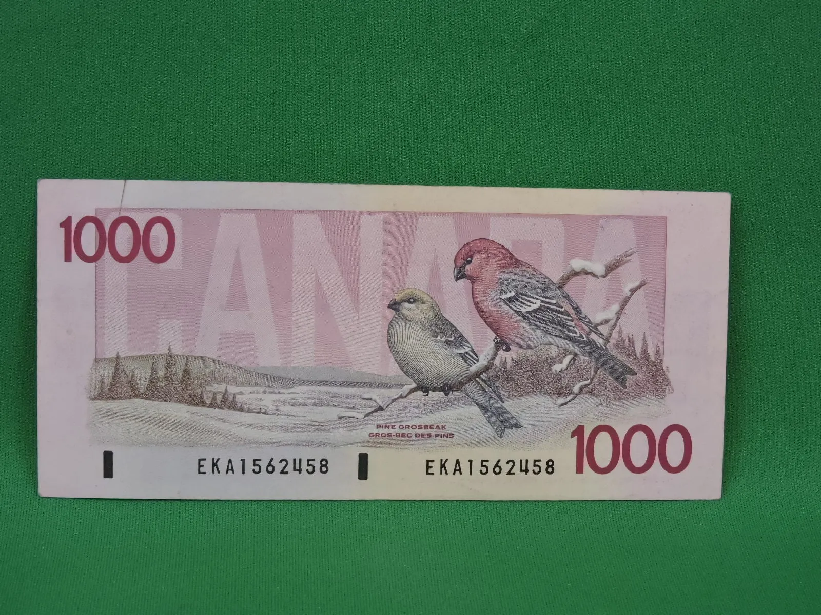 Canadian Bank Notes - ENZ - 1988 - $1000 - EKA1562458