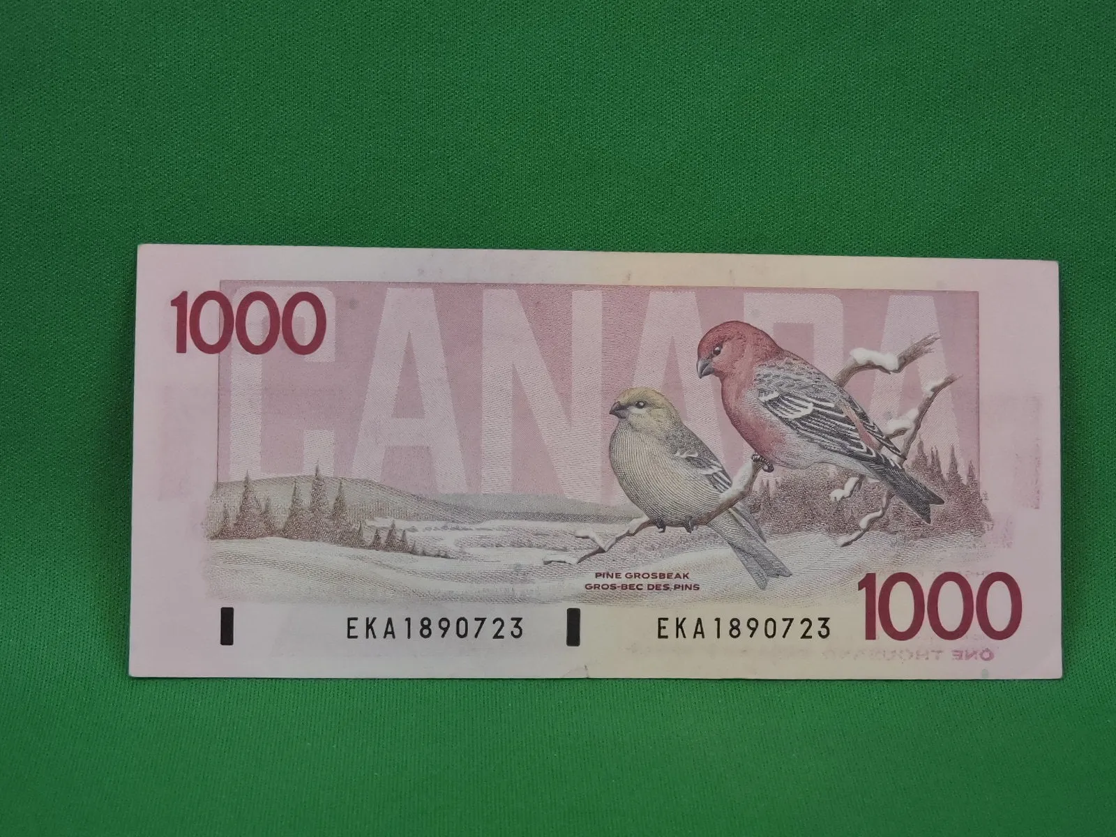 Canadian Bank Notes - ENZ - 1988 - $1000 - EKA1890723