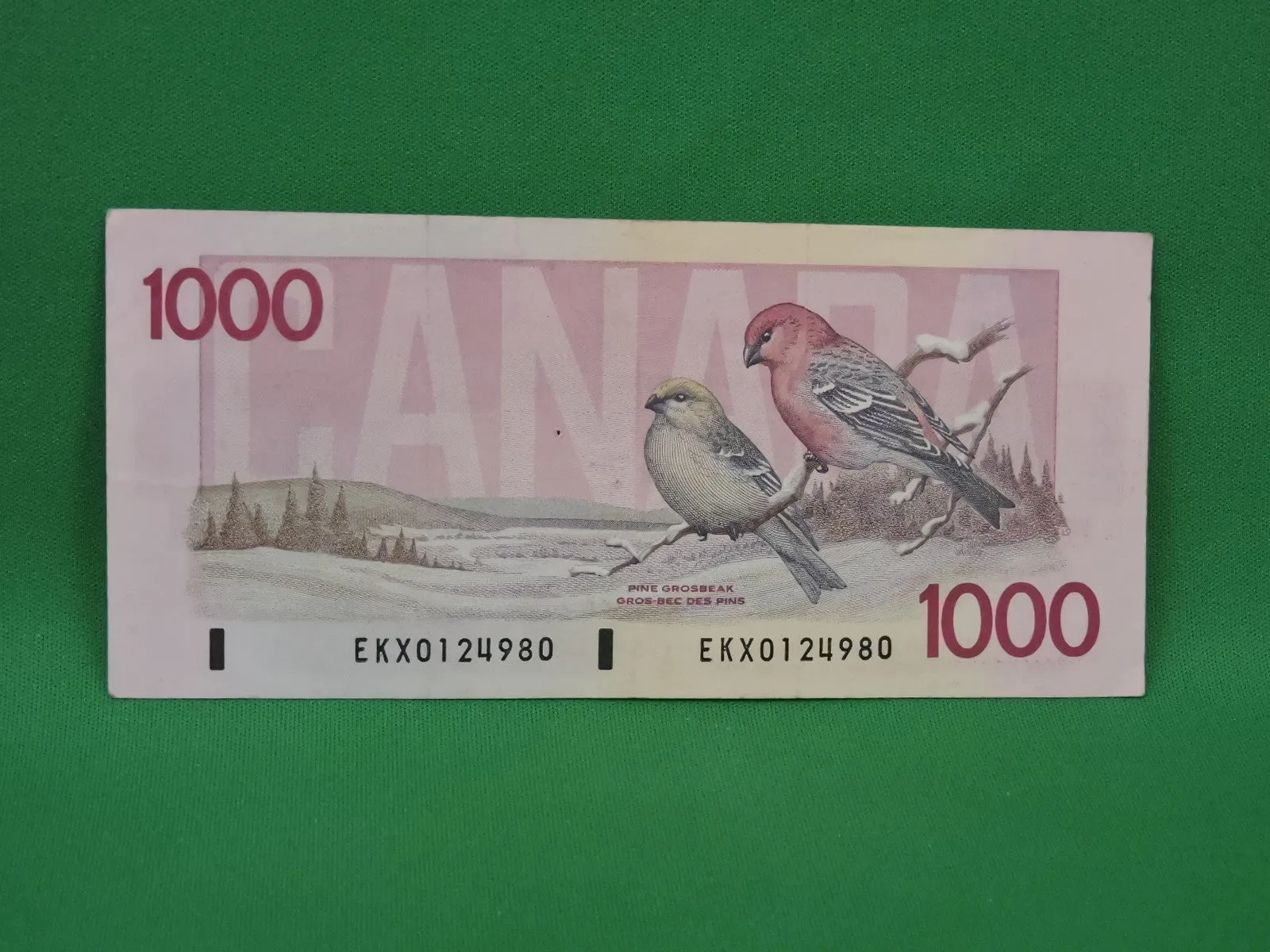 Canadian Bank Notes - ENZ - 1988 - $1000 - EKX0124980