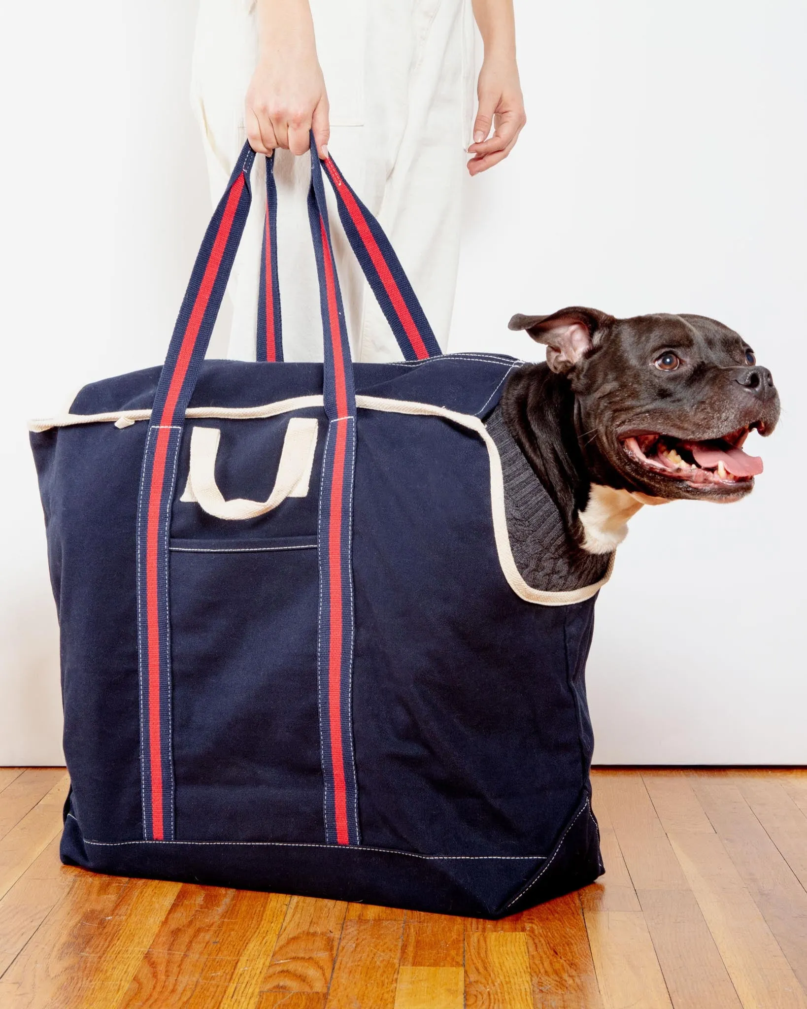 City Carrier Dog Bag in Size 4