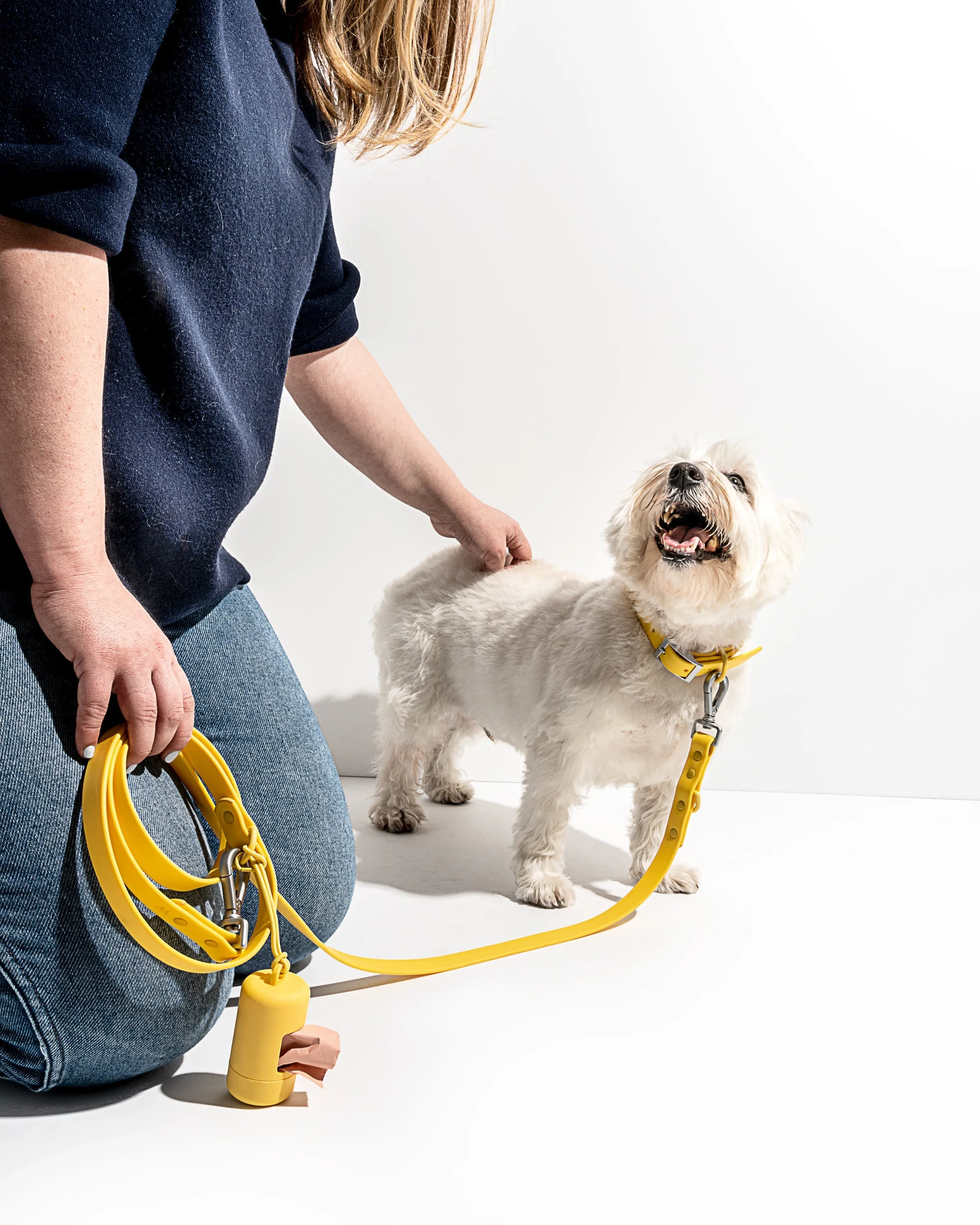 Leash