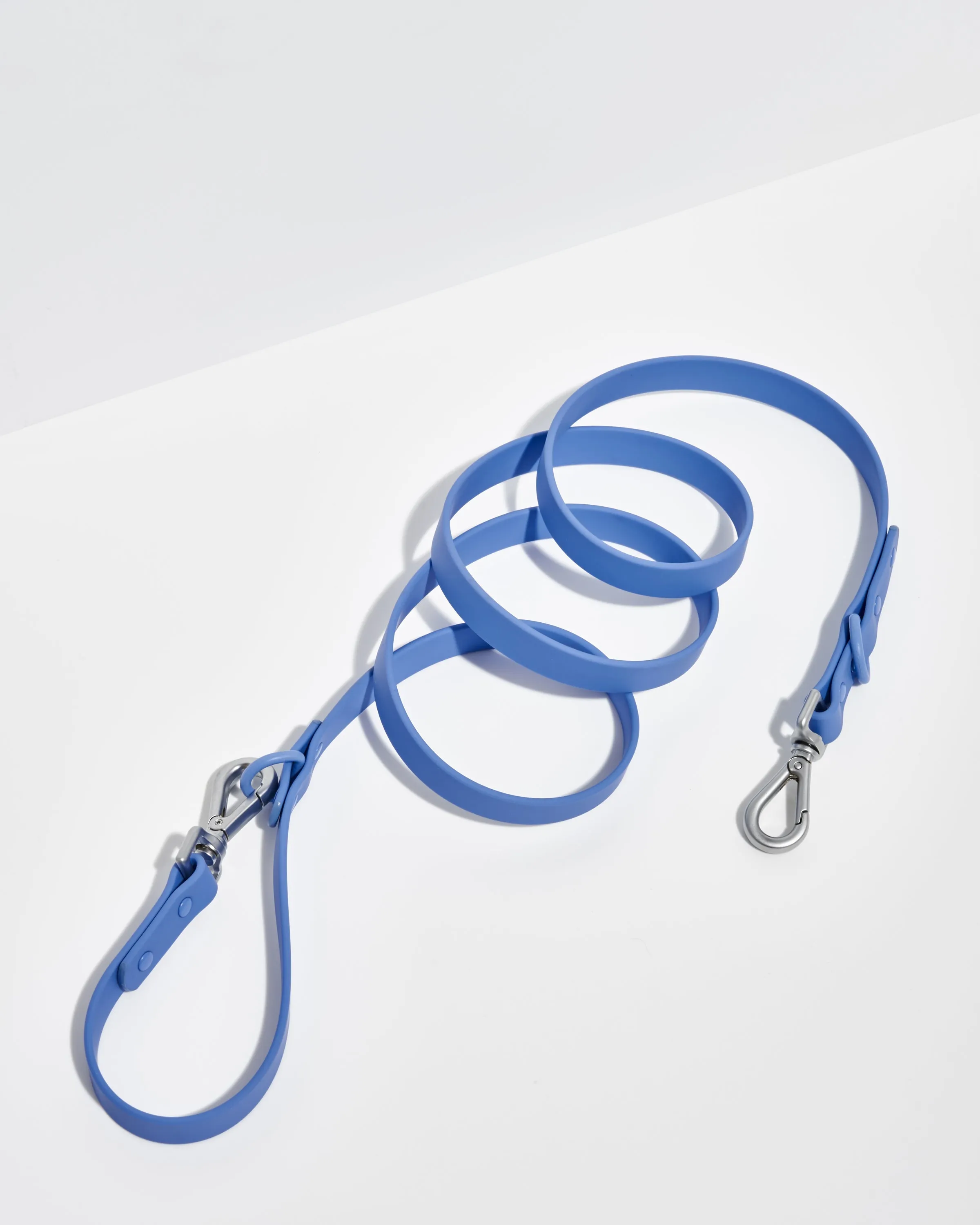 Leash