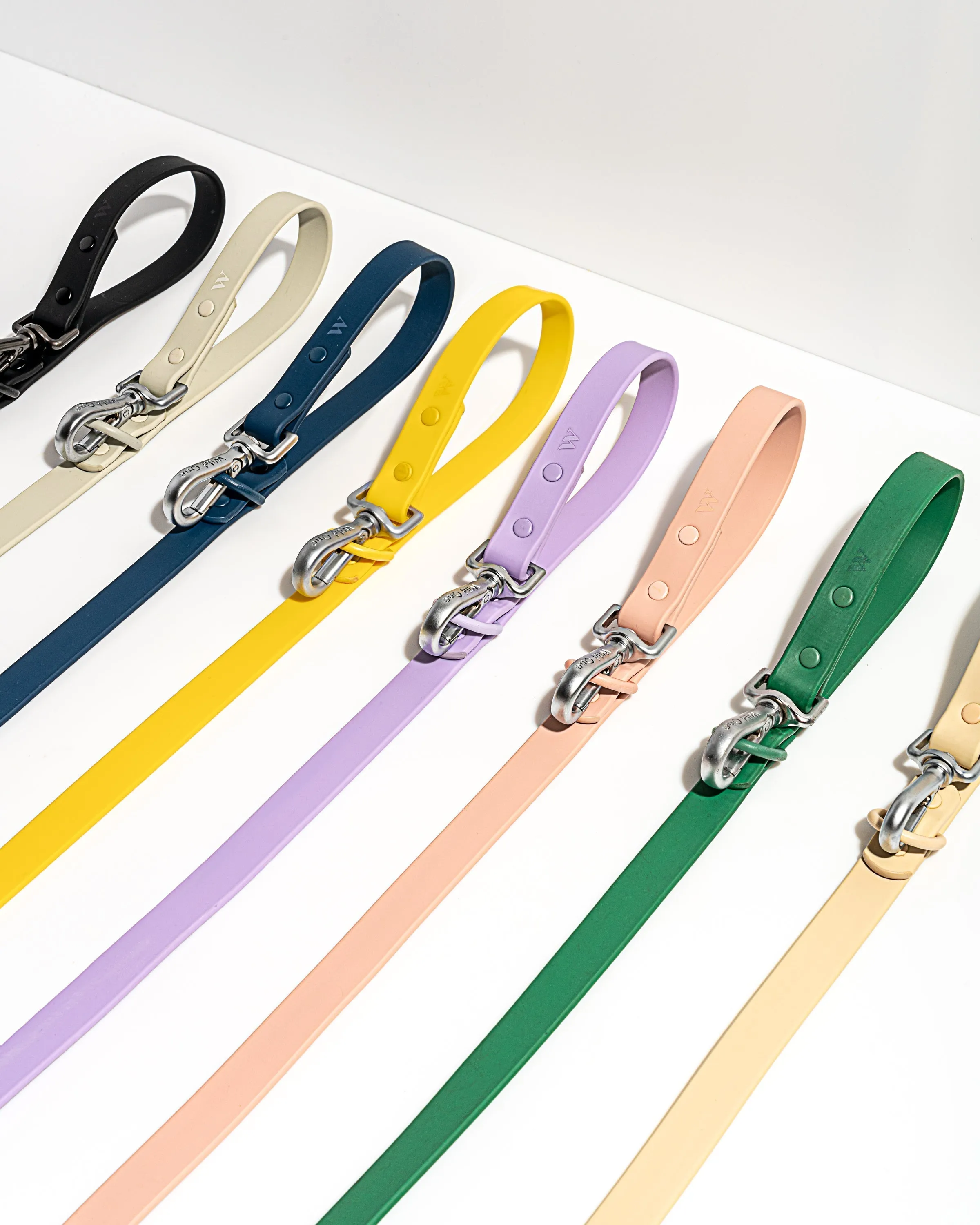 Leash