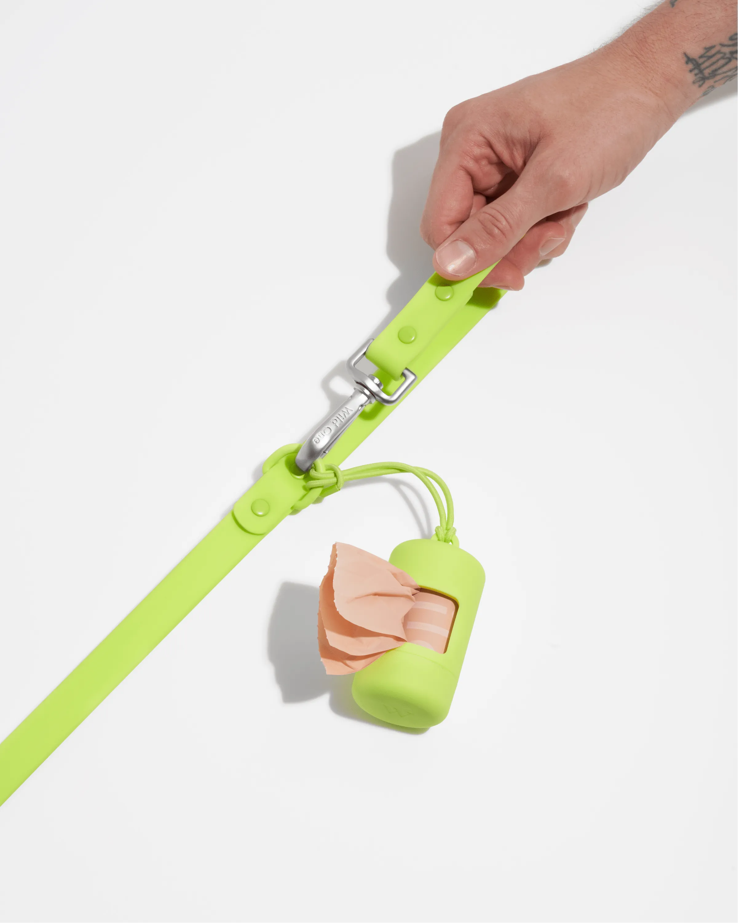 Leash