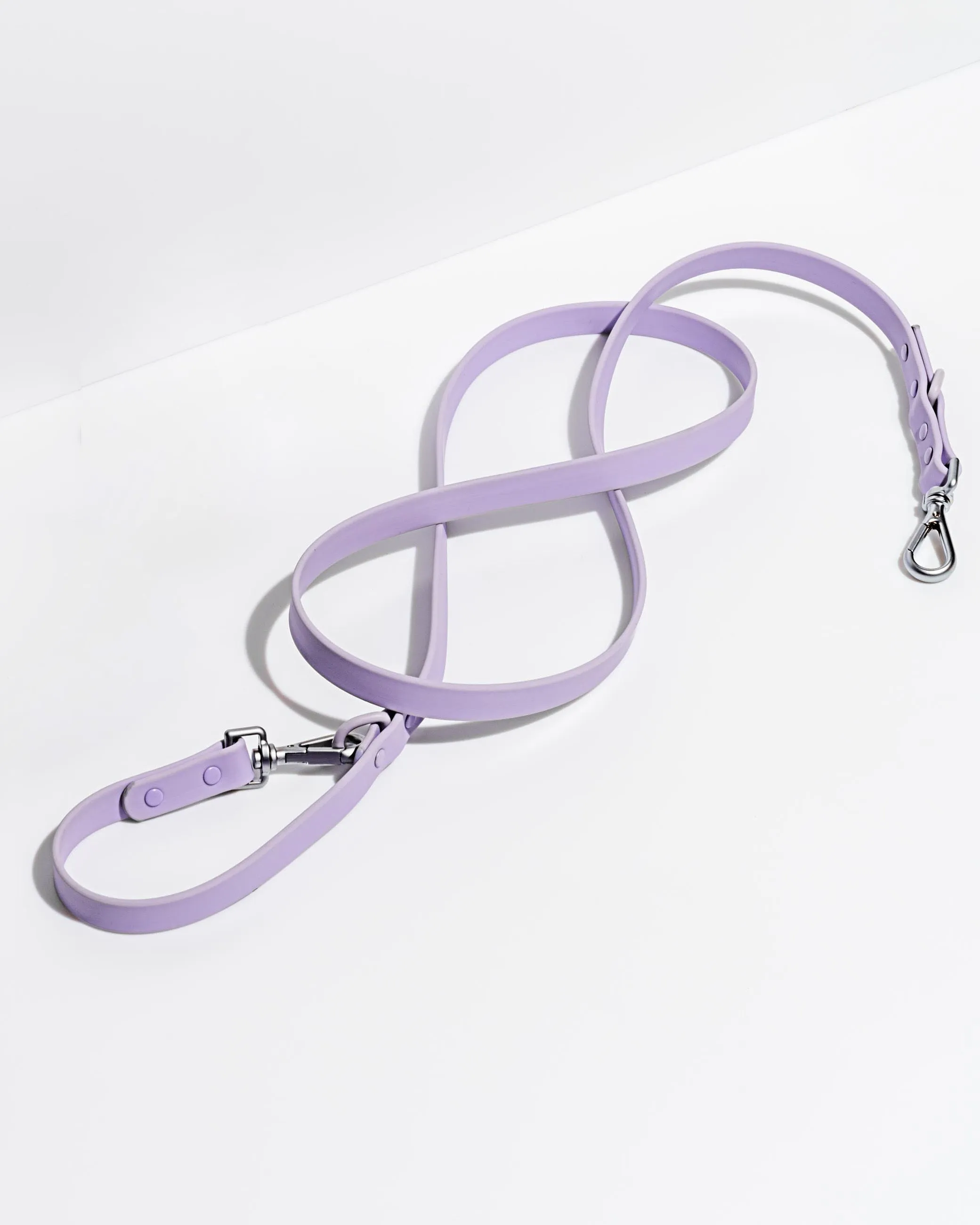 Leash