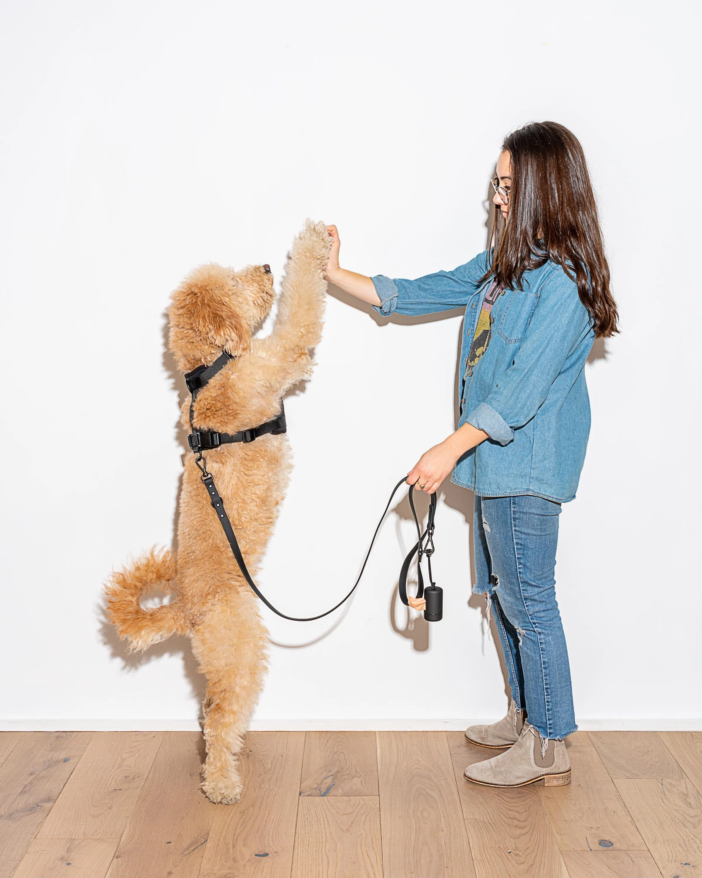 Leash