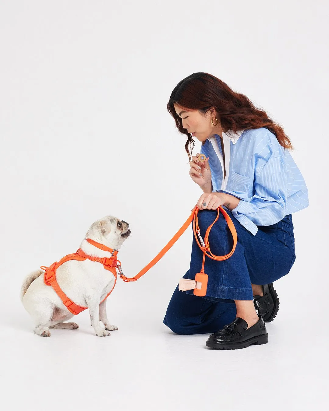 Leash