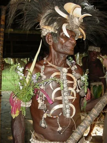 Rare Body Art : Dani Big Man Pectoral Trophy, Bride Price, Currency, Feud Payment Collectible: Ammonite, Cassowary, Seed beads, Bark Twine, Hand Carved Ancestor Face etc… late 1900’s. Museum Quality, Baliem Valley, Irian Jaya, New Guinea.