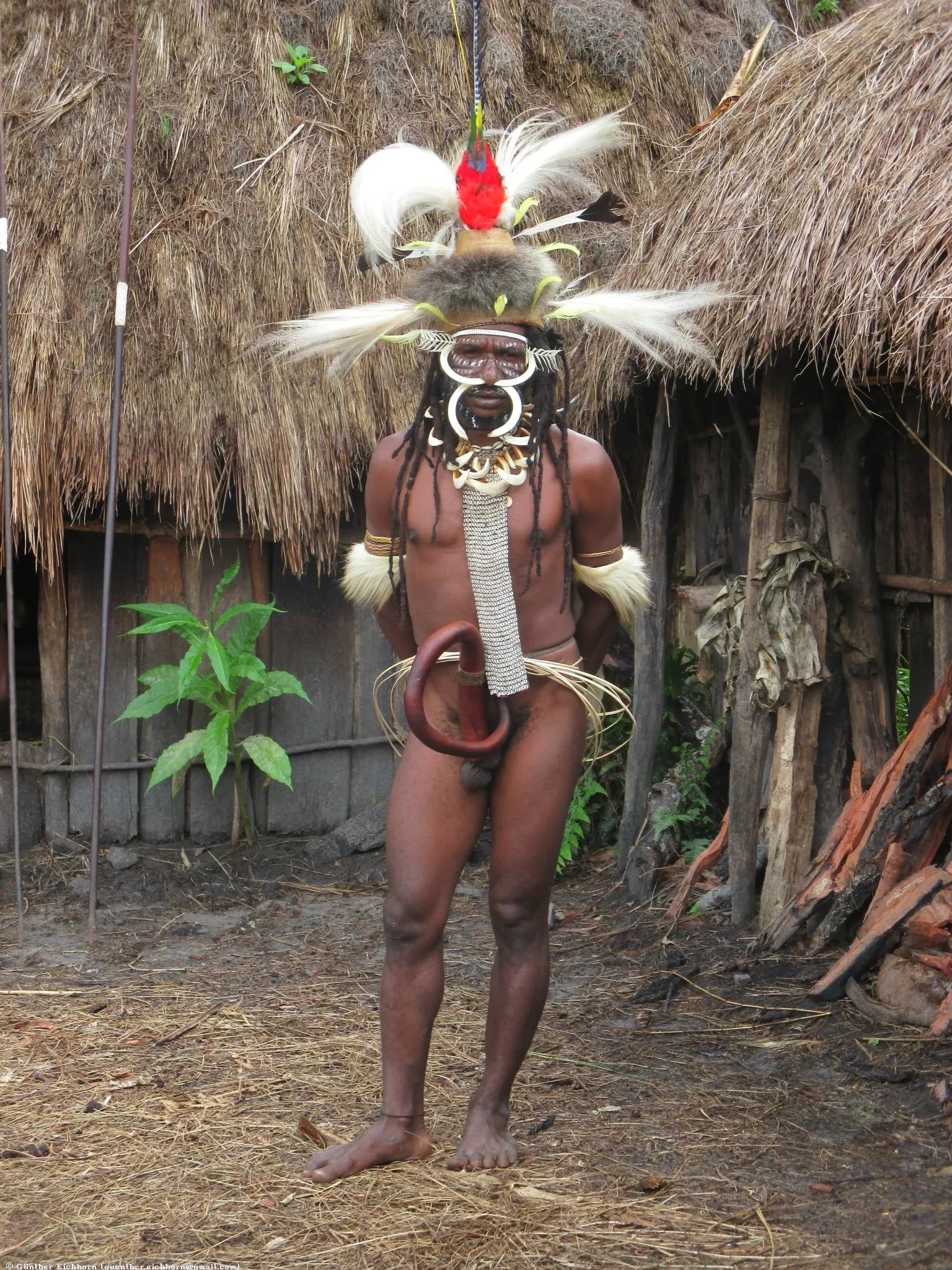 Rare Body Art : Dani “Big Man” Pectoral Trophy, Bride Price, Currency, Feud Payment, Highly Collectible: Ammonite, Boar Tusks, Cassowary, Seed beads, Bark Twine etc… Custom framed, 28” x 24 ½”, Collected in the late 1900’s. Museum Quality, New Guinea.