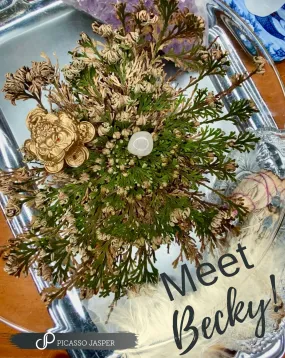 Rose of Jericho: Peace, Power & Abundance!