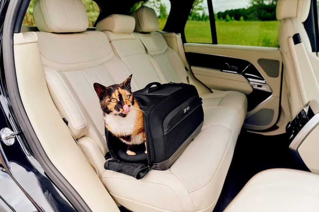 Tavo Pets Dupree I Airline Carry-on Pet Car Seat