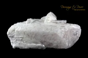 XL Danburite Bridge Crystal Specimen 'Collectors Quality'